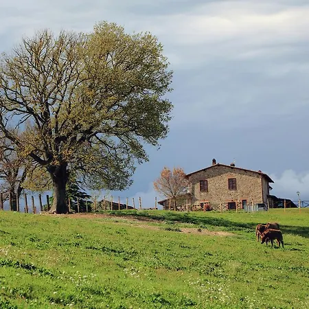 Podere Oglieto Piano Terra
