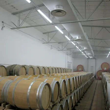 Podere Oglieto Piano Terra Corbara (Umbria)