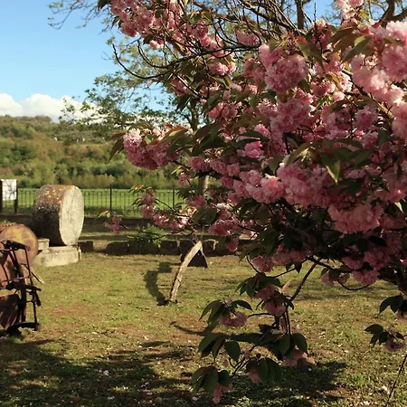 Podere Oglieto Piano Terra Country house *